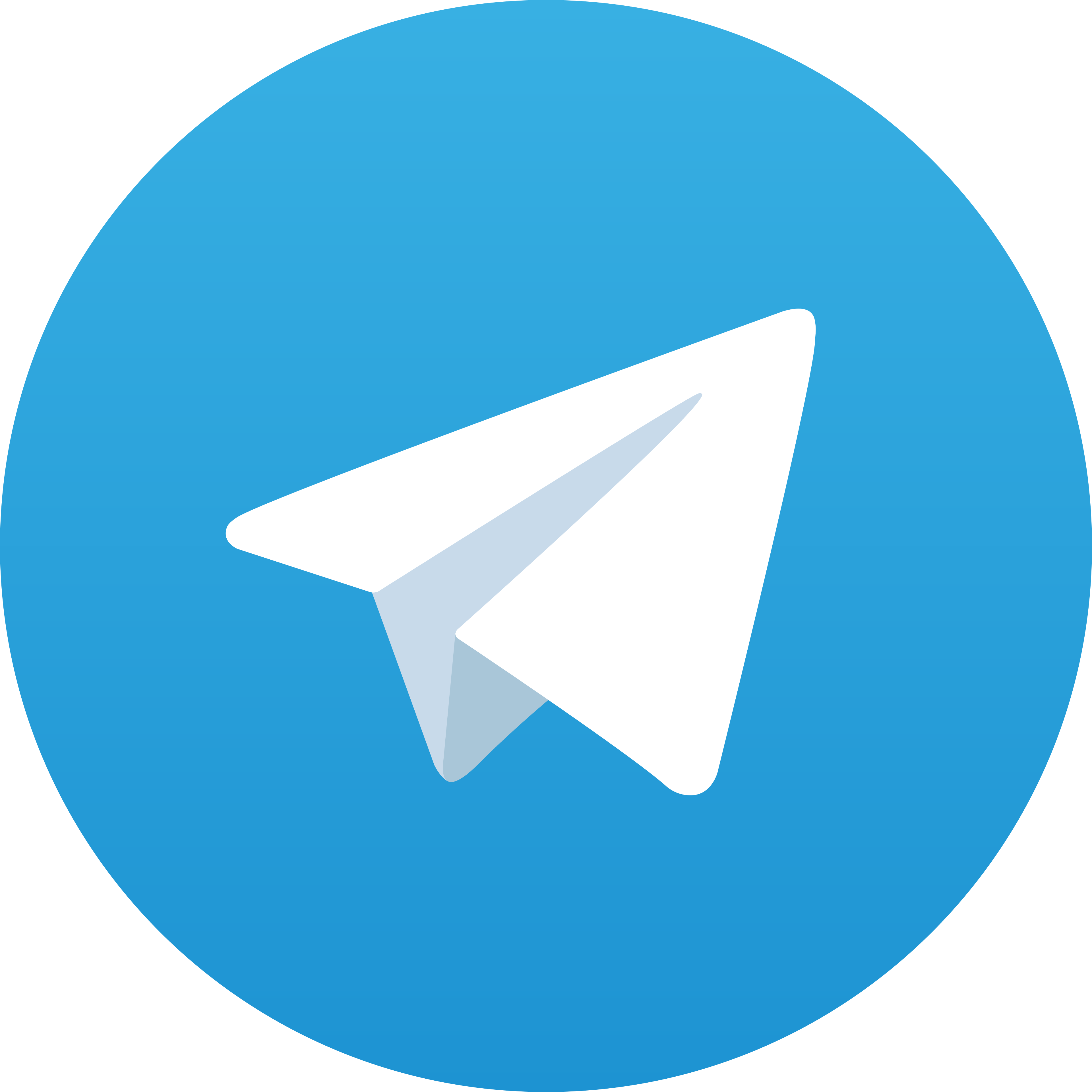 Telegram Hedonjp